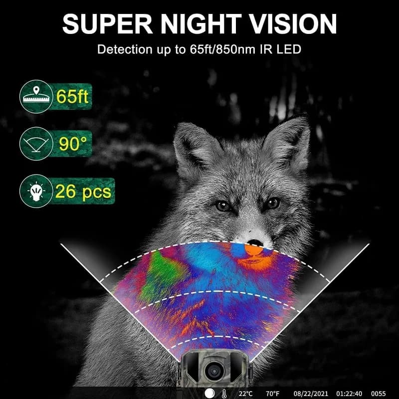 Pack 2 mini caméras faune 24MP 1080P étanches - Observation oiseaux et surveillance jardin compacte