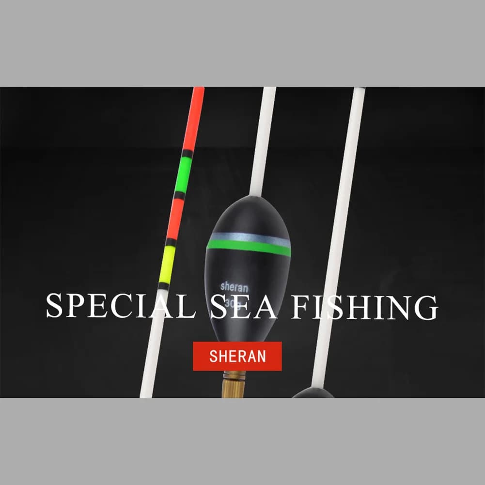 Flotteur vertical balsa 15g à 30g pêche mer - Flotteur professionnel pour carpe et pêche sportive