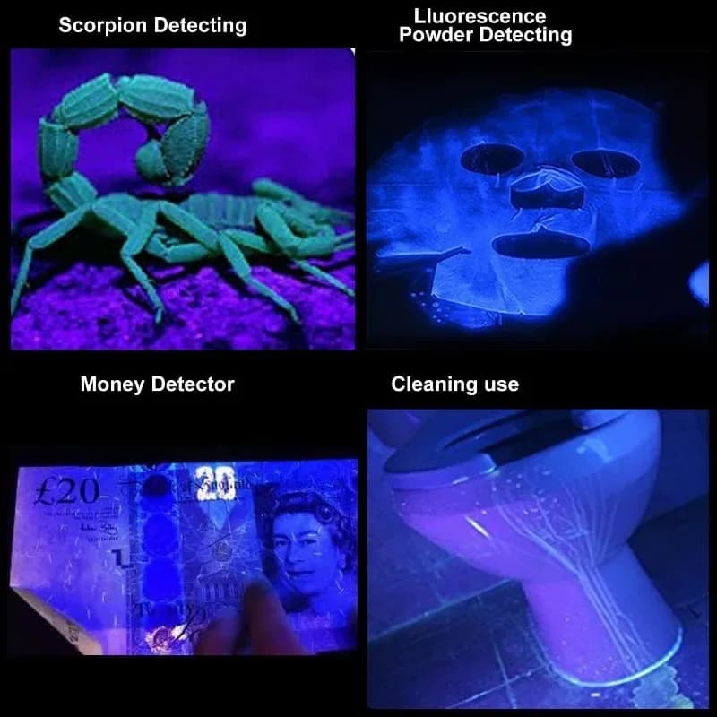 Lampe UV 365/395nm détecteur traces animaux fluorescents pour pêche et inspection nocturne