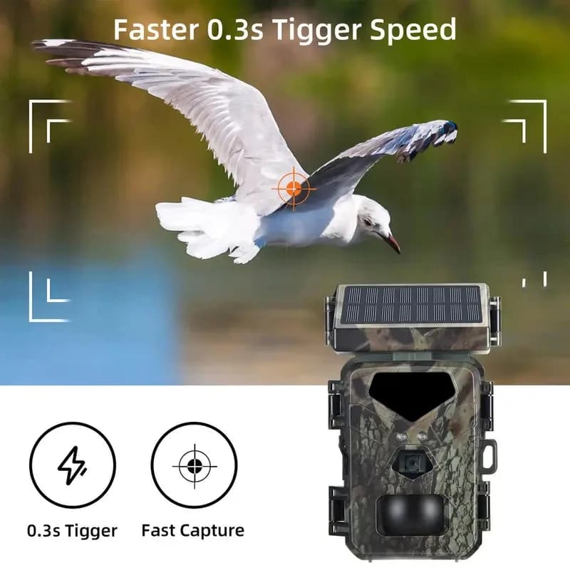 Caméra de chasse 4K vision nocturne infrarouge étanche IP65 surveillance cerfs sécurité jardin