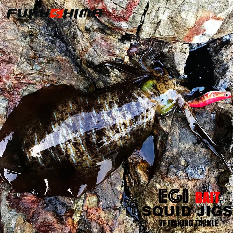 Leurre Egi Fukushima 2-3.5 pour Calamar et Seiche, Appât Crevette Fluorescent avec Hooks Aiguisés 21g Pêche