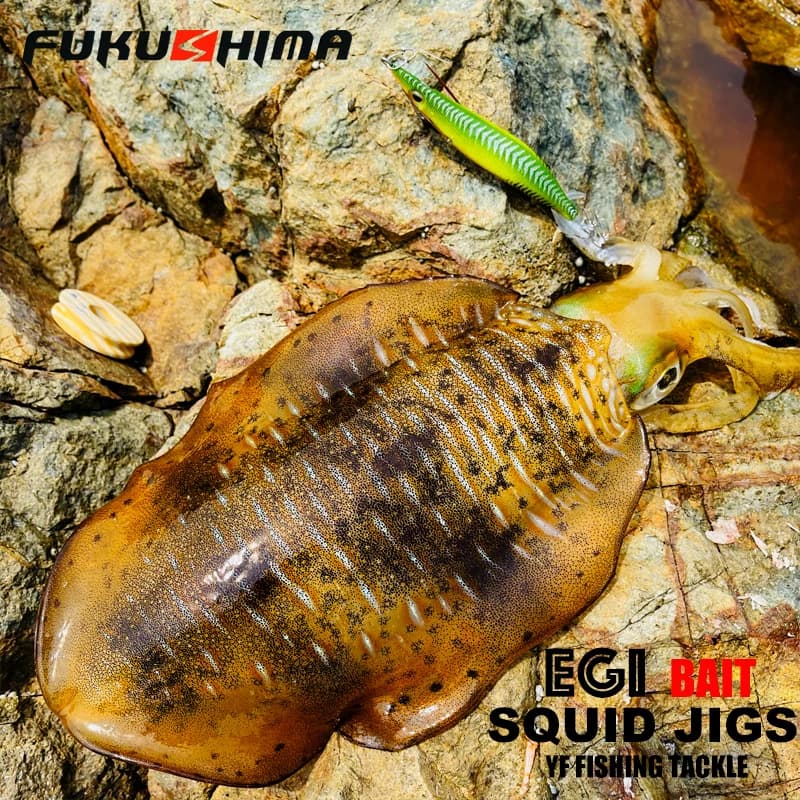 Leurre Egi Fukushima 2-3.5 pour Calamar et Seiche, Appât Crevette Fluorescent avec Hooks Aiguisés 21g Pêche