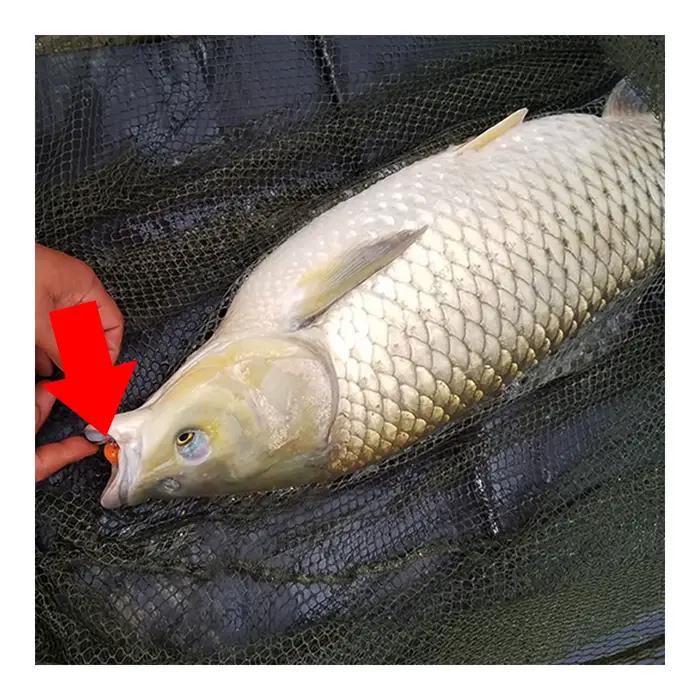 Bouillettes flottantes EVA 10 pièces multi-saveurs - Appâts pêche carpe ligne principale flottants