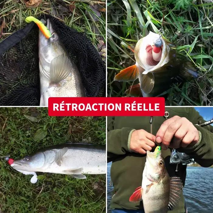 Leurre souple silicone MEREDITH 80mm 100mm 125mm pour la pêche du bar, leurre shad et worm carnassier