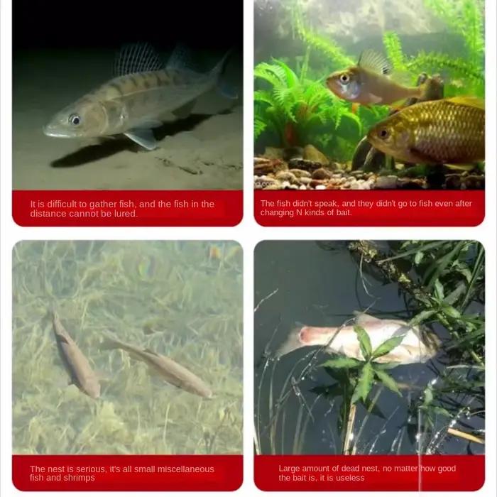 Attractant granulaire concentré pour carpe et poissons blancs - Appât pêche sauvage carassin tilapia