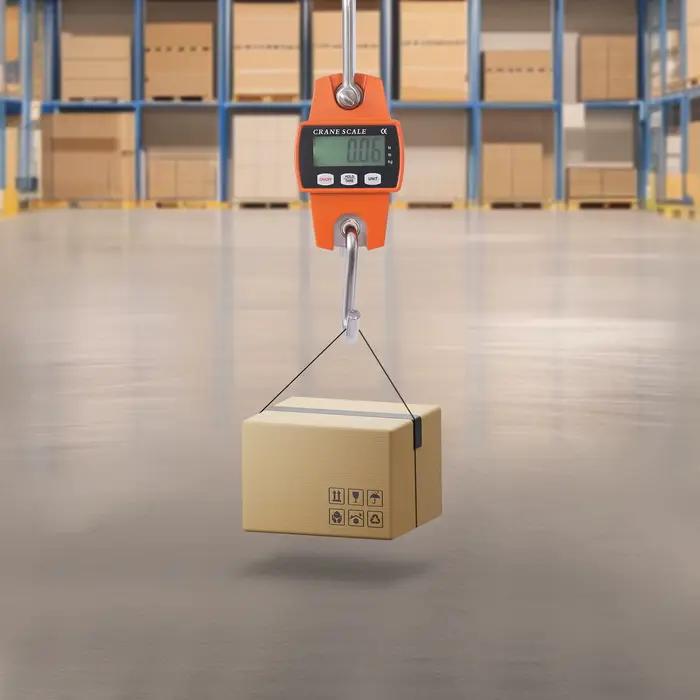 Balance gru électronique 300kg pêche LCD alarme surcharge unités kg/lb/n
