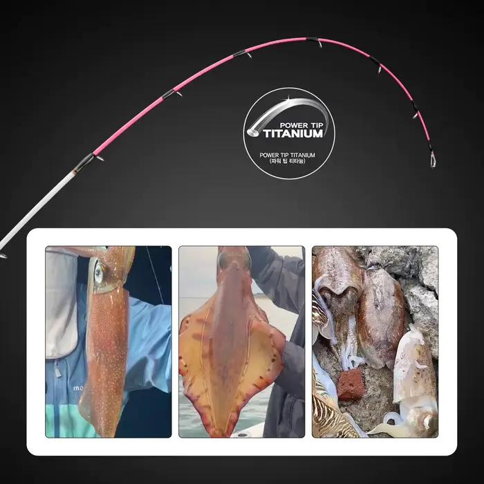 Canne à pêche bateau 1.7m 1.9m ML pointe titane pour seiche pêche mer haute qualité