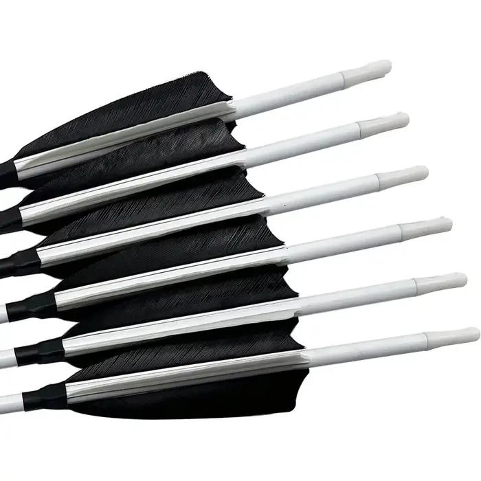 6 flèches carbone 30/32 pouces pointes interchangeables pour pêche à l'arc compound/récursif
