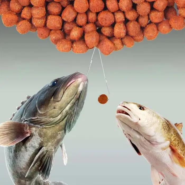 450 doses concentrées arômes appâts pêche additif saveurs pour équipements pêche attractant poissons