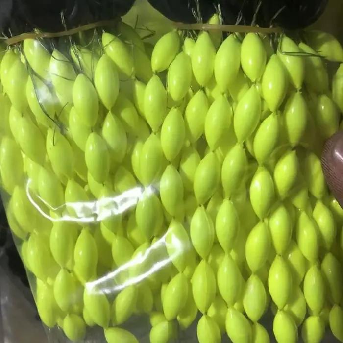 Flotteur coulissant EVA oval ressort pêche crappie silure perche dorée poisson-chat