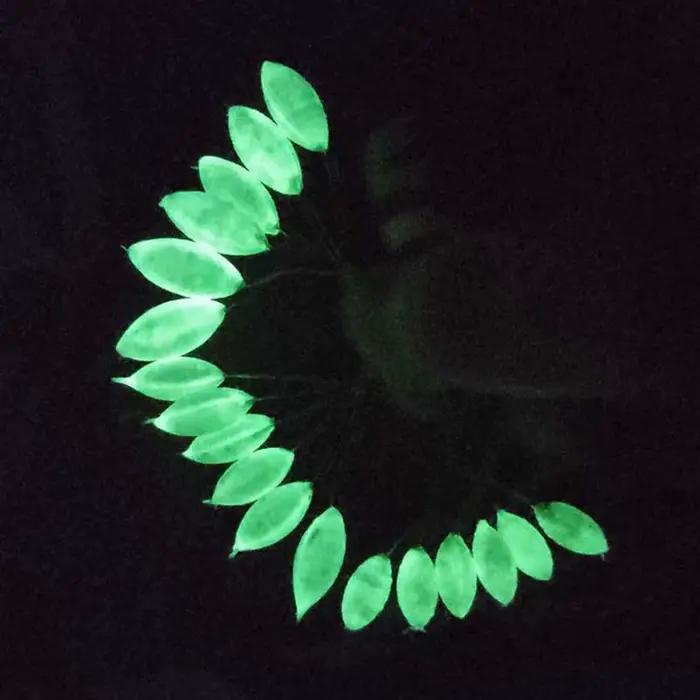 Lot de 5 flotteurs luminescents ovales 7 étoiles pour pêche à la carpe - Tailles S/M/L