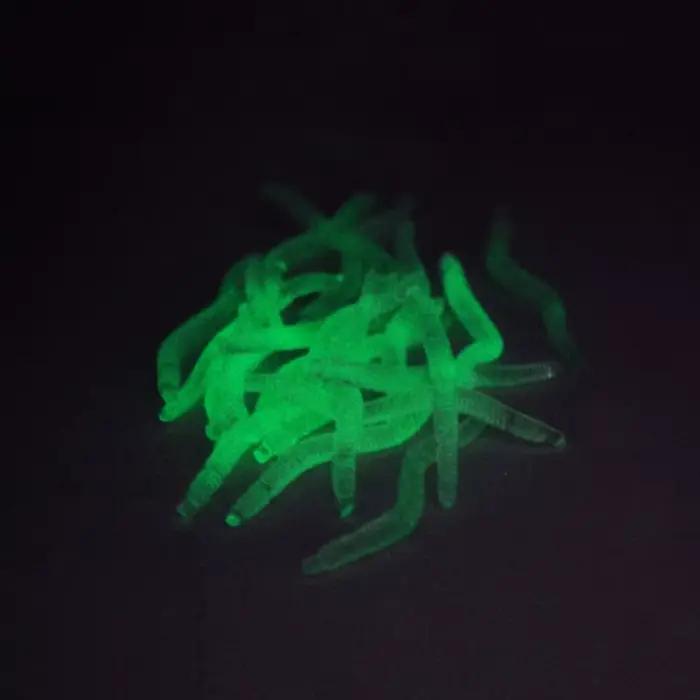 Leurre souple ver de terre fluorescent 35mm - 20-100 pièces avec odeur poisson et additif crevette pour bar et carpe