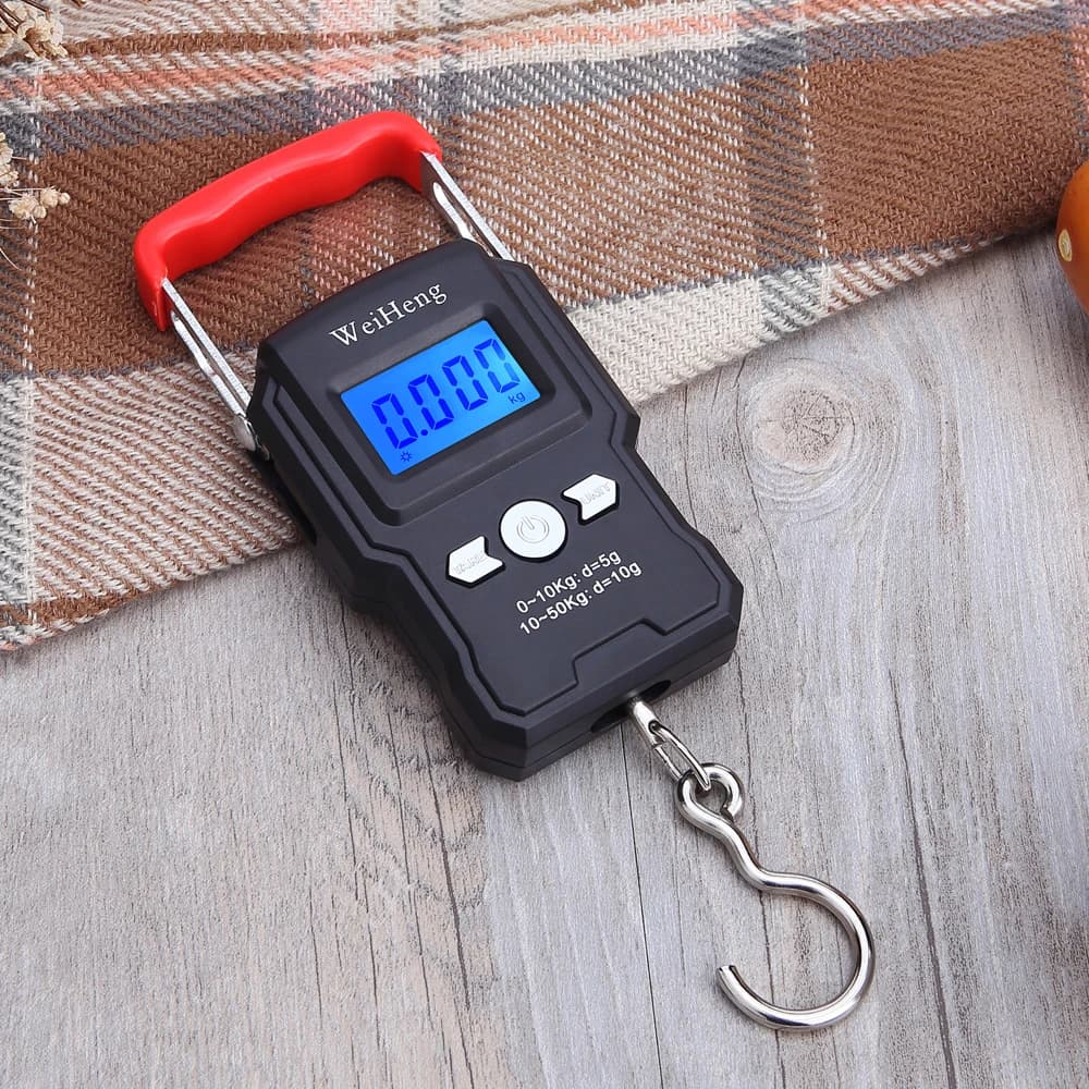 Balance digitale portable 50kg/5g double précision rétroéclairée pour pêche - Pèse-accroche haute technologie LCD