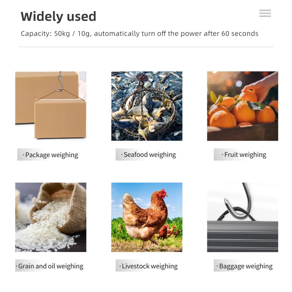 Balance pêche numérique 50kg/10g avec poignée ergonomique - Pèse-électronique portable à écran LCD
