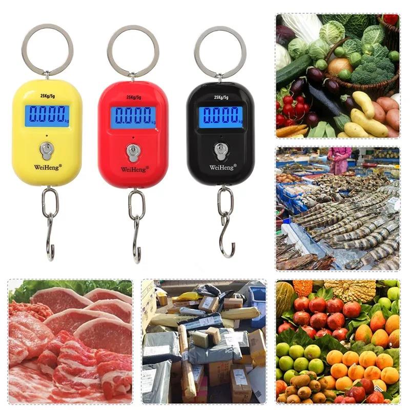 Mini balance numérique 25kg pour pêche et voyage - Précision 5g, crochet porte-clés LCD