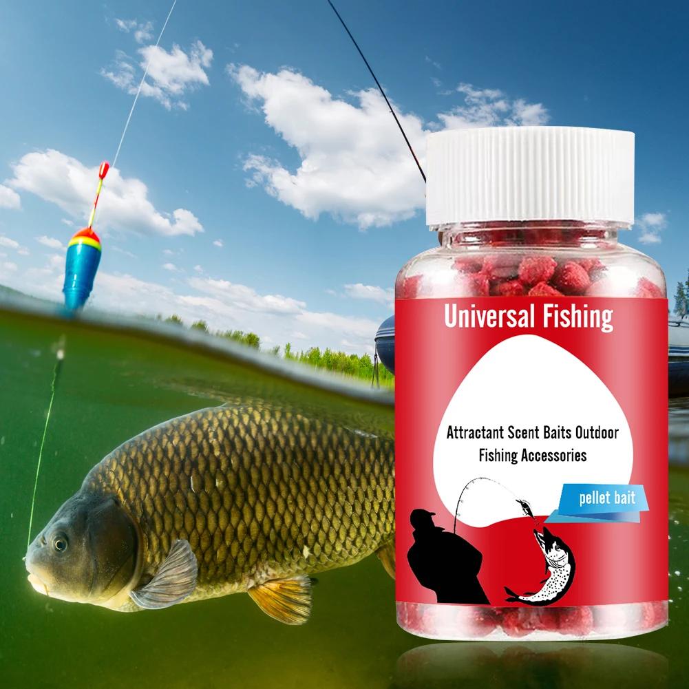 Attractant universel concentré pour poissons - amorce puissante pour tous types de pêche