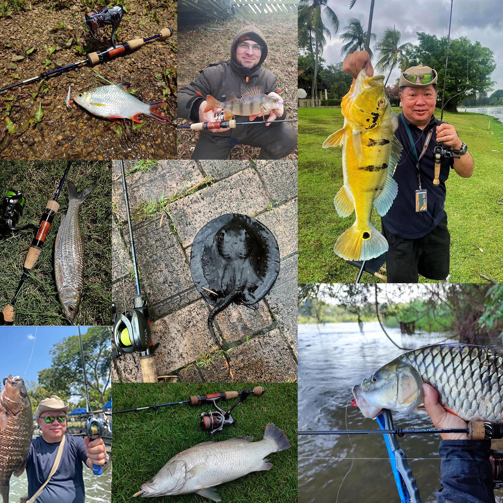 Canne à pêche truite PURELURE CREEK DANCE BFS casting UL spinning légère voyage ruisseau perche