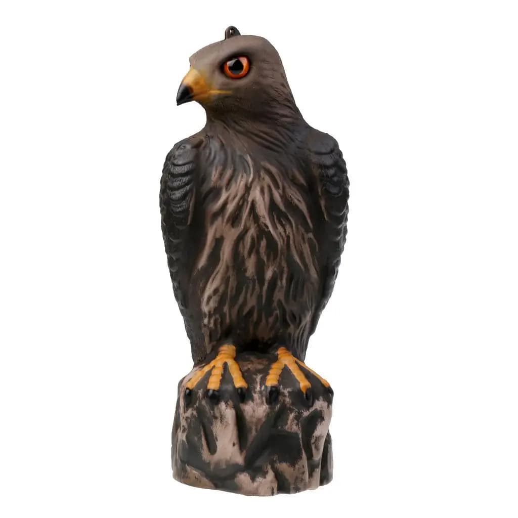 Leurre aigle faucon réaliste pour piège oiseaux et épouvantail terrasse - Déco jardin contrôle