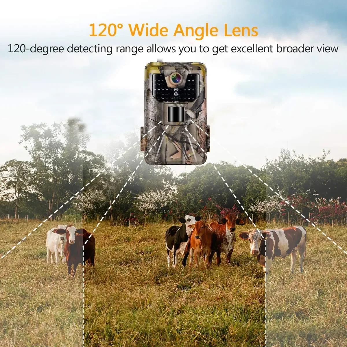 Caméra Suntekcam HC-900A 36MP 2.7K étanche IP65 - Surveillance faune chasse scouts vision nocturne traque