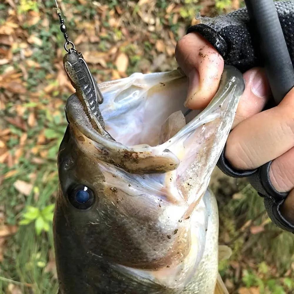 5 têtes plombées Jig avec hameçons EWG pour leurres souples - montage weedless pour basse