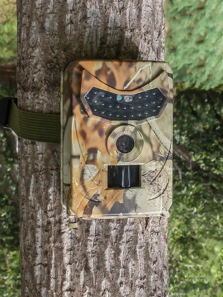 Caméra extérieure 12MP détecteur animaux sauvages étanche HD avec vision thermique infrarouge nocturne
