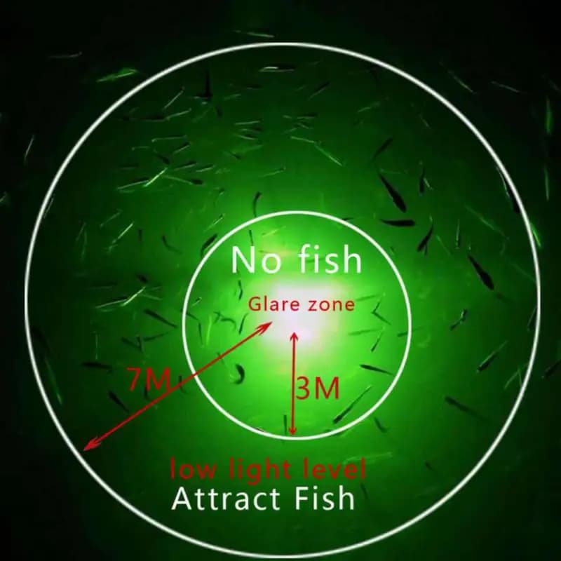 Lampe électronique sous-marine pour pêche - Attraction lumineuse LED pour poissons et calamars