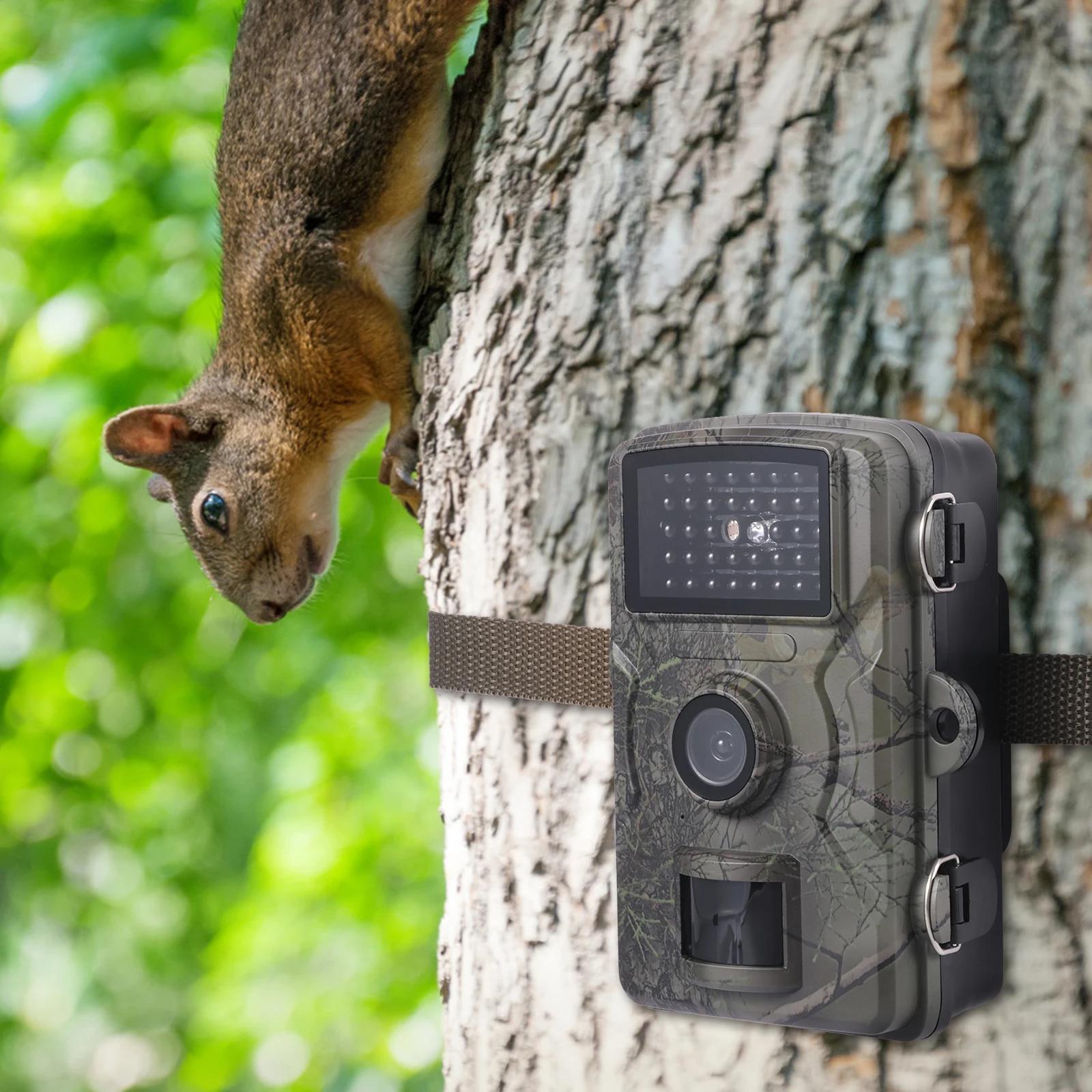 Caméra trail capteur infrarouge IP66 étanche 90 degrés avec vision nocturne pour surveillance faune extérieure