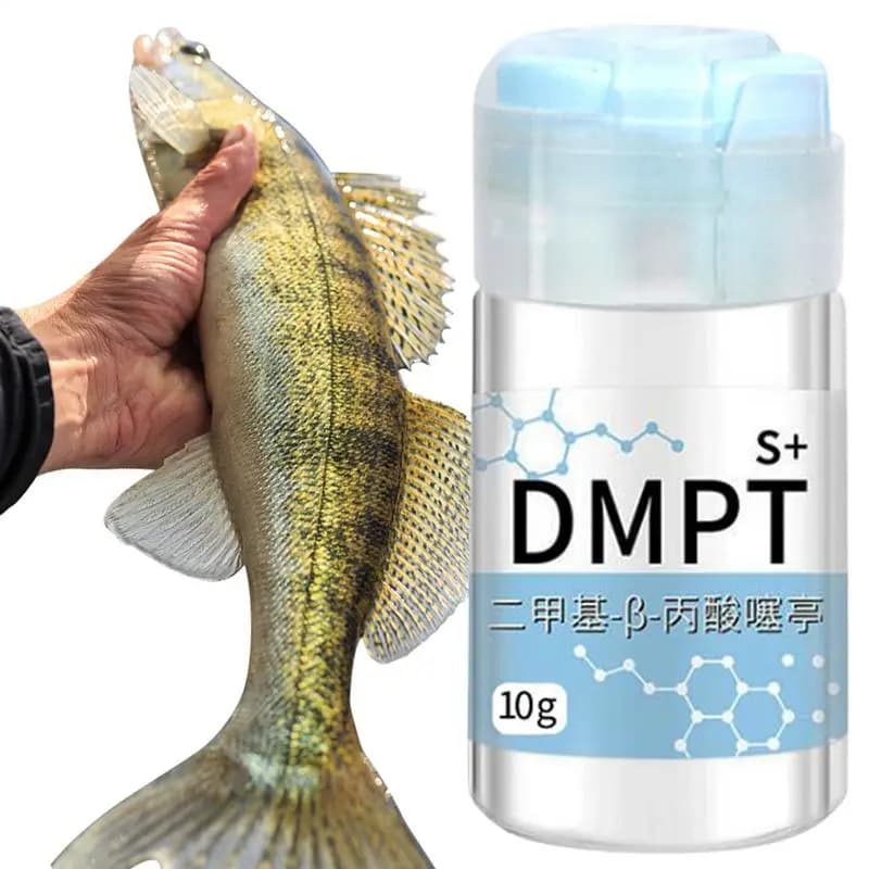 Appât DMPT gel attractif irrésistible soluble pour carpe cruciane poudre additif leurre pêche
