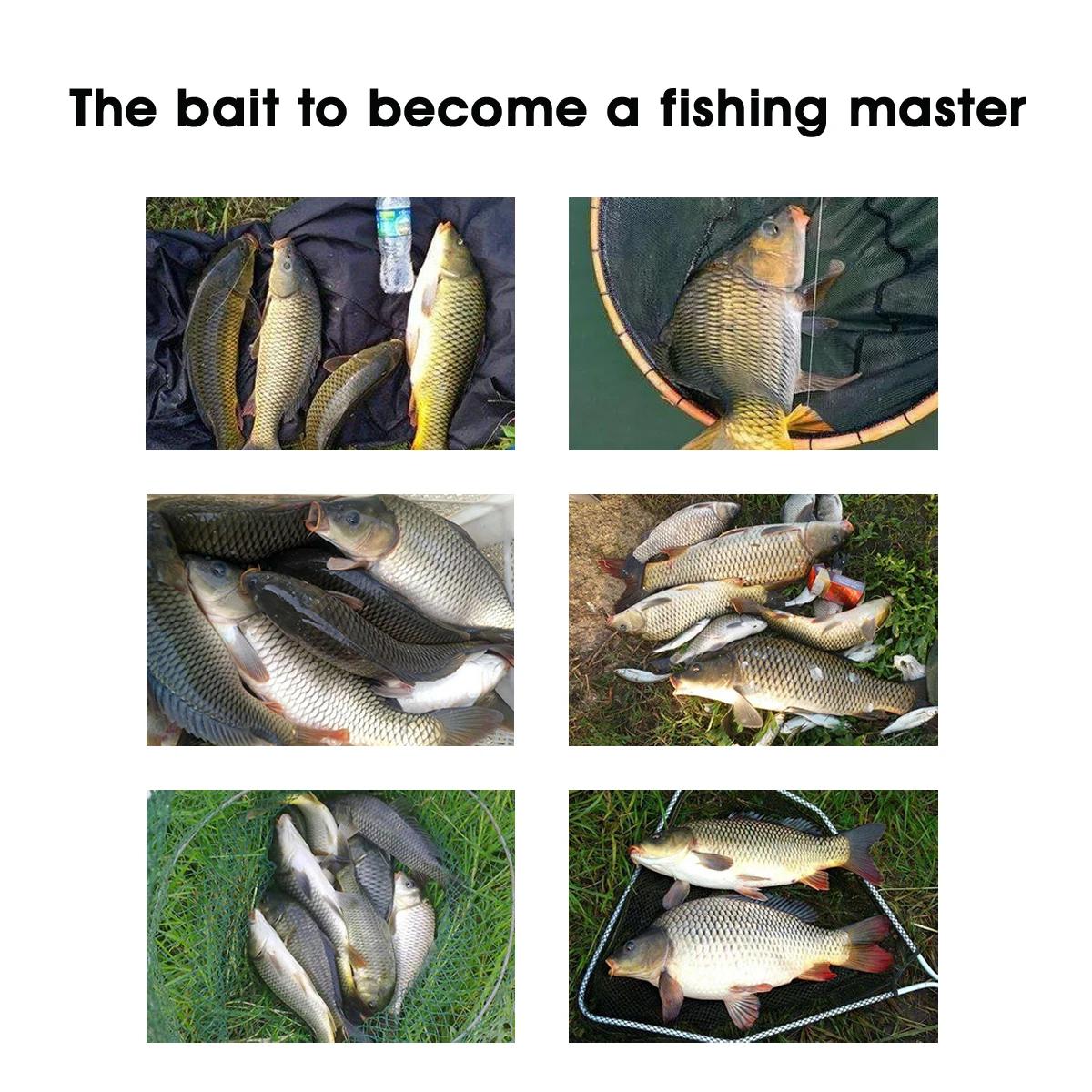 Appât Fishing King Crazy Carp 300g à la patate douce et viande d'escargot pour pêche printemps-été