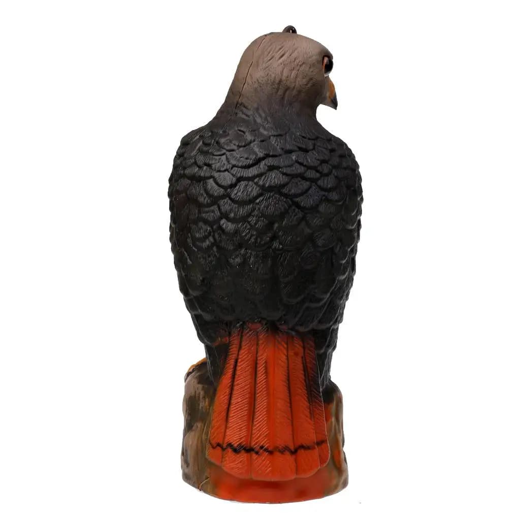 Leurre aigle faucon réaliste pour piège oiseaux et épouvantail terrasse - Déco jardin contrôle