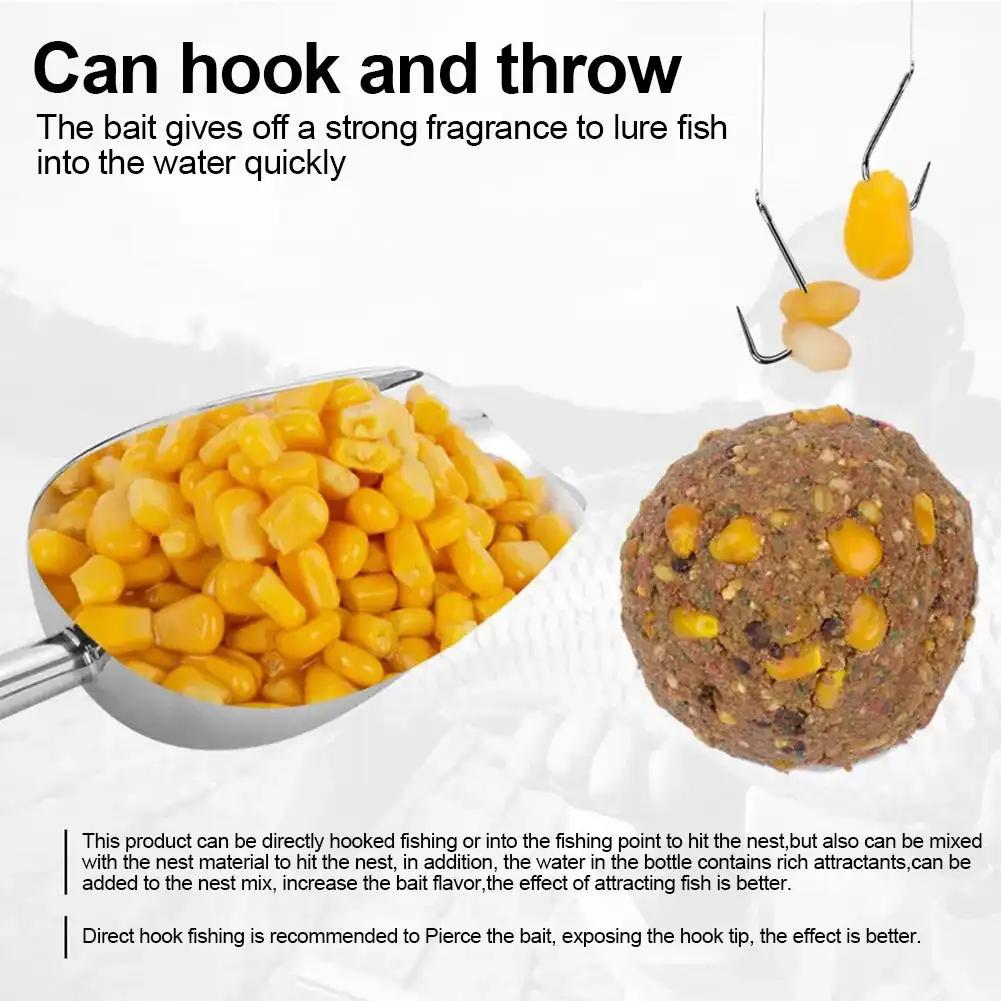 Appât 180g maïs frais pour carpe herbivore et amour noir - Pêche lac et réservoir