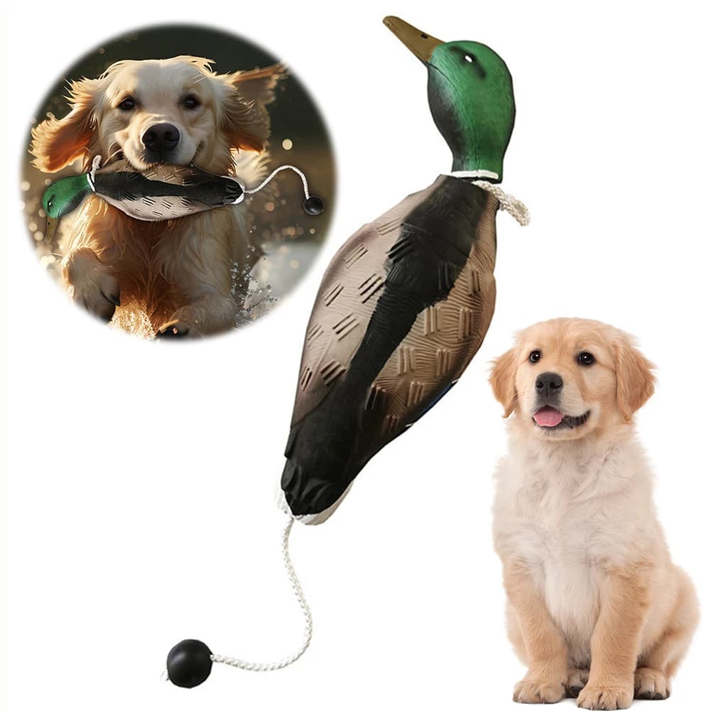 Leurre canard mort flottant pour chasse au gibier d'eau et entraînement de chiens de chasse