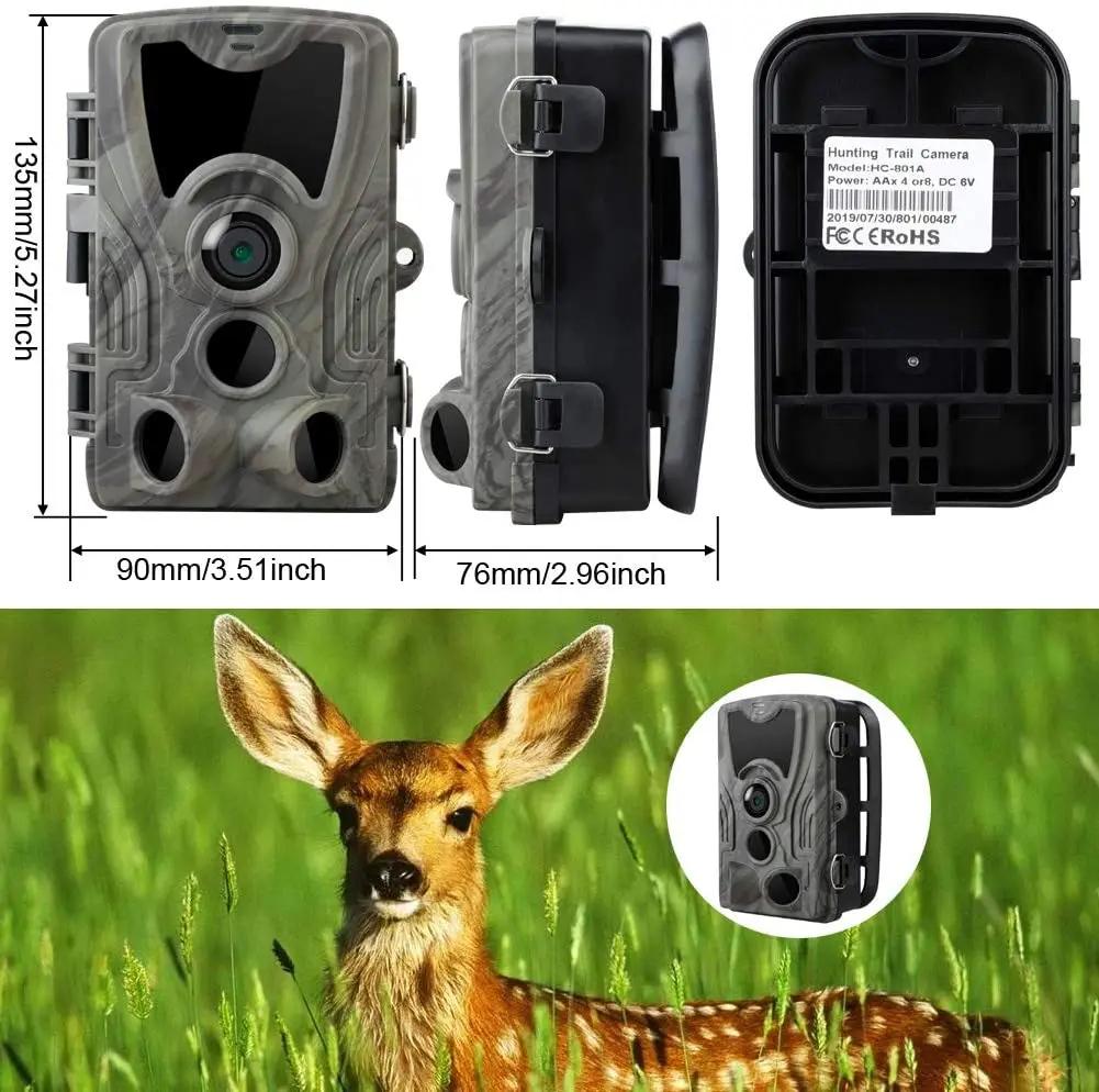 Caméra de chasse HC801A vision nocturne détection mouvement pour pistage animalier et surveillance extérieure