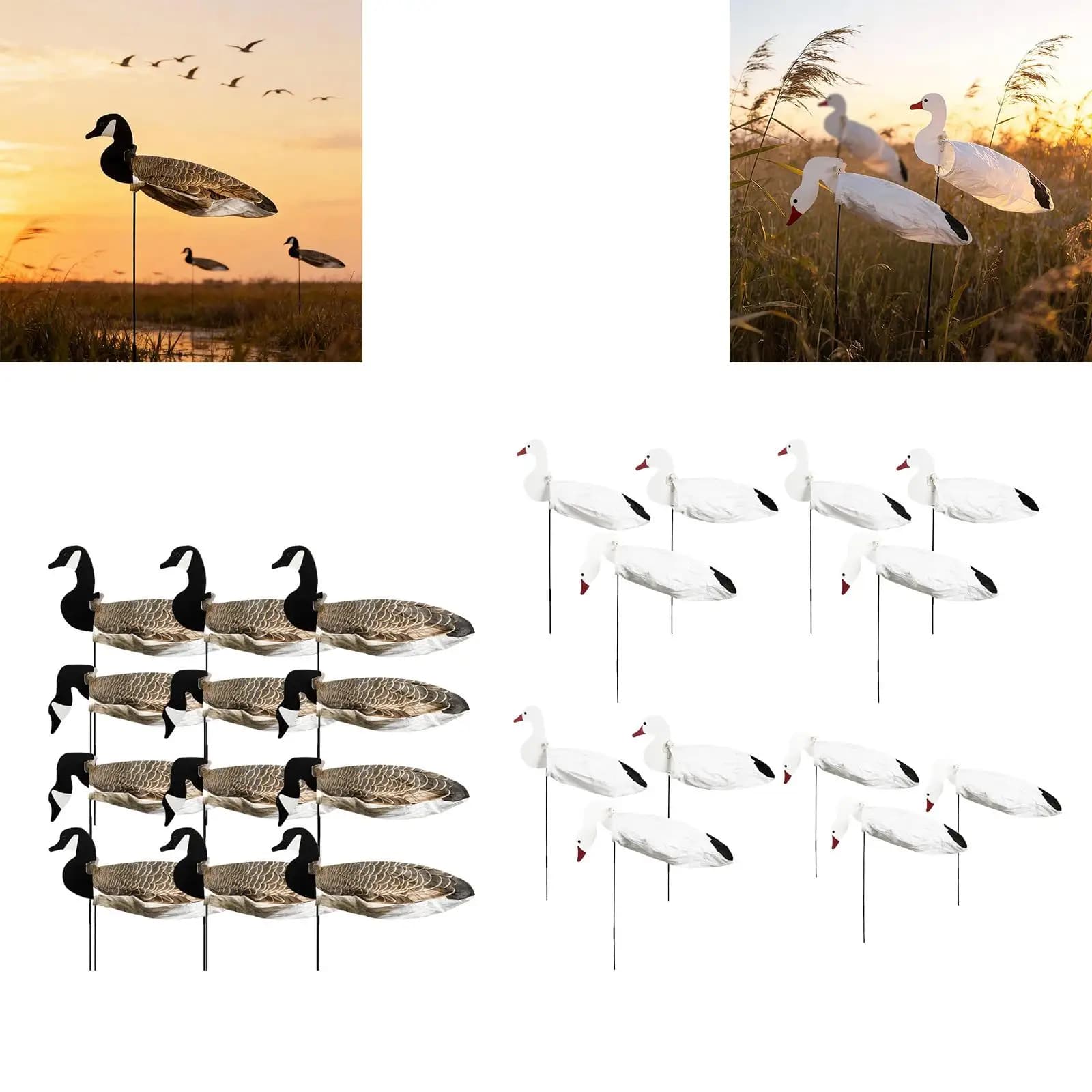 Ensemble leurres silhouette oie légers résistants aux intempéries avec mouvement - Chasse gibier d'eau