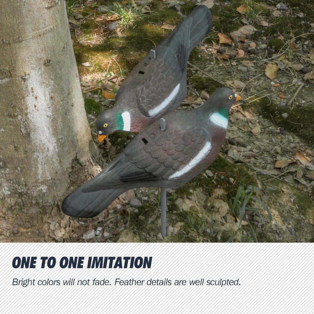 Leurres pigeons 3D peints réalistes 1/3/6 pièces pour entraînement tir et chasse