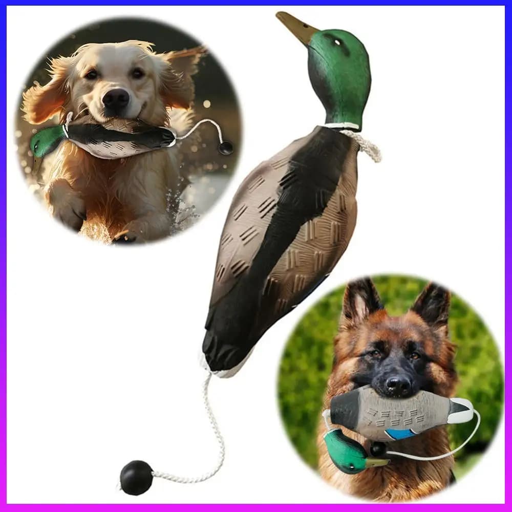 Leurre canard flottant mort pour entraînement chien de chasse pêche, appât leurre flottant