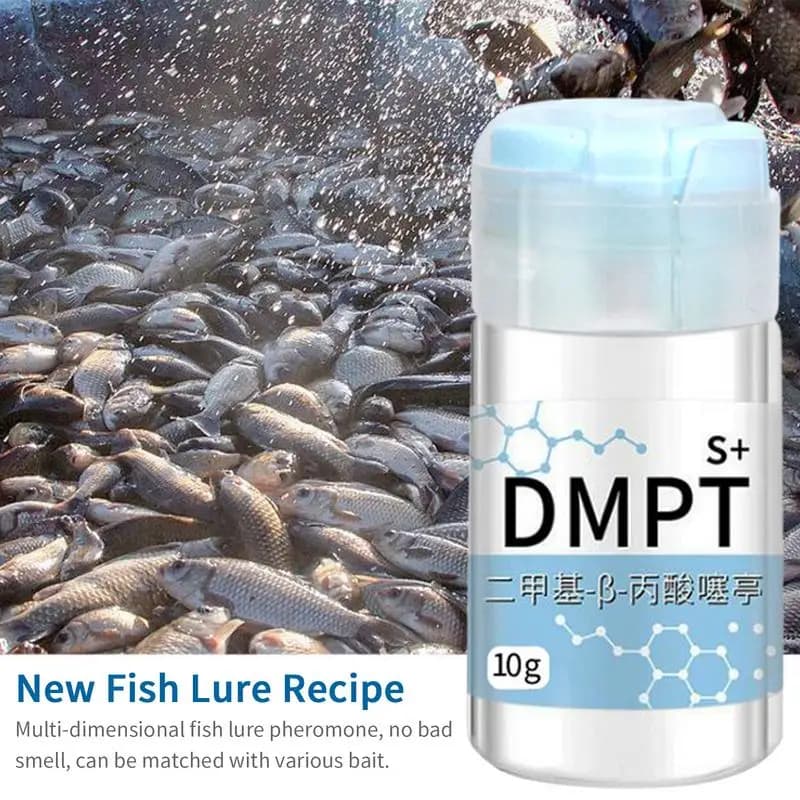 Appât DMPT gel attractif irrésistible soluble pour carpe cruciane poudre additif leurre pêche