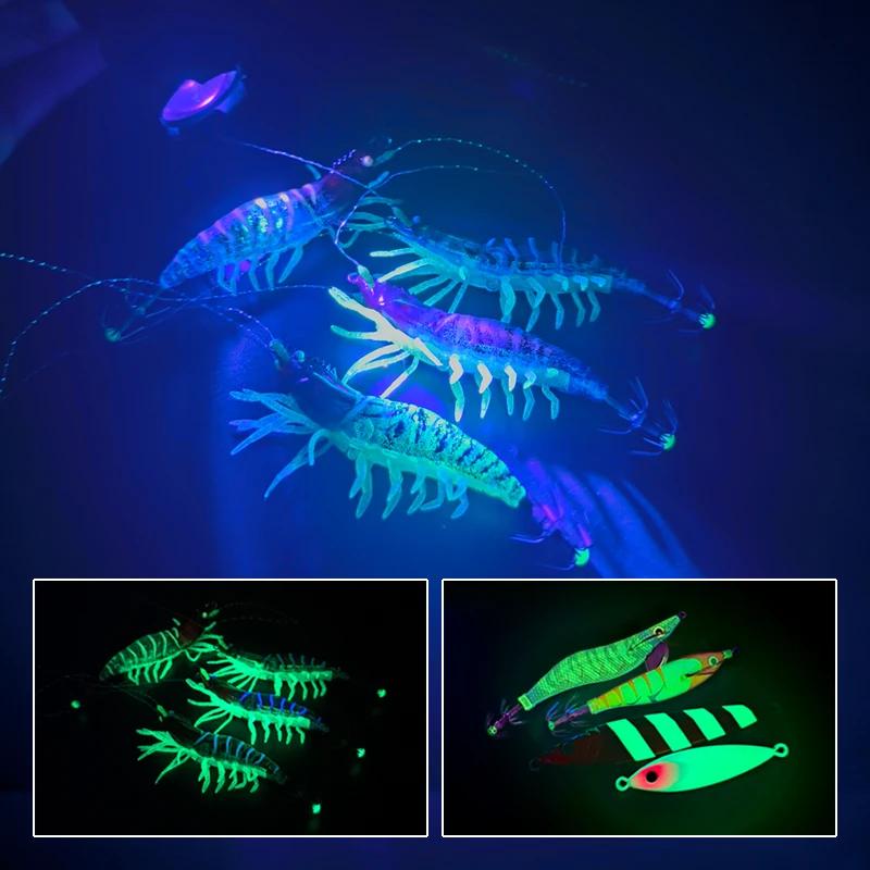 Lampe UV torche LED 395nm pour pêche leurres et calamars - éclairage zoomable et portable