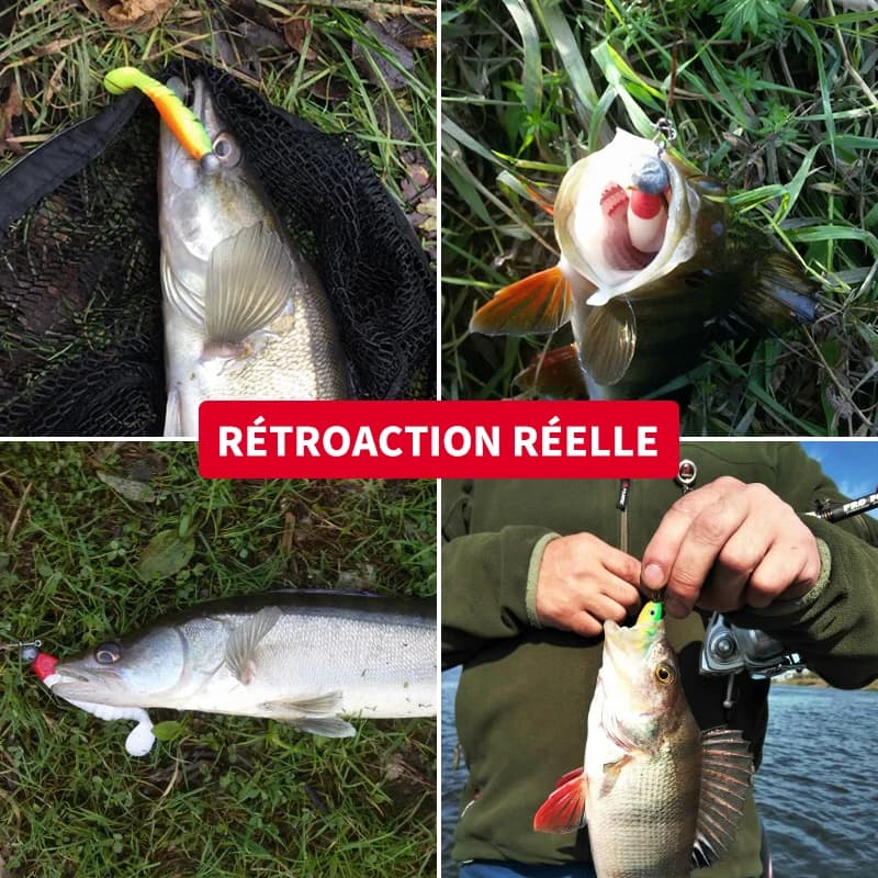 Leurre souple silicone MEREDITH 80mm 100mm 125mm pour la pêche du bar, leurre shad et worm carnassier