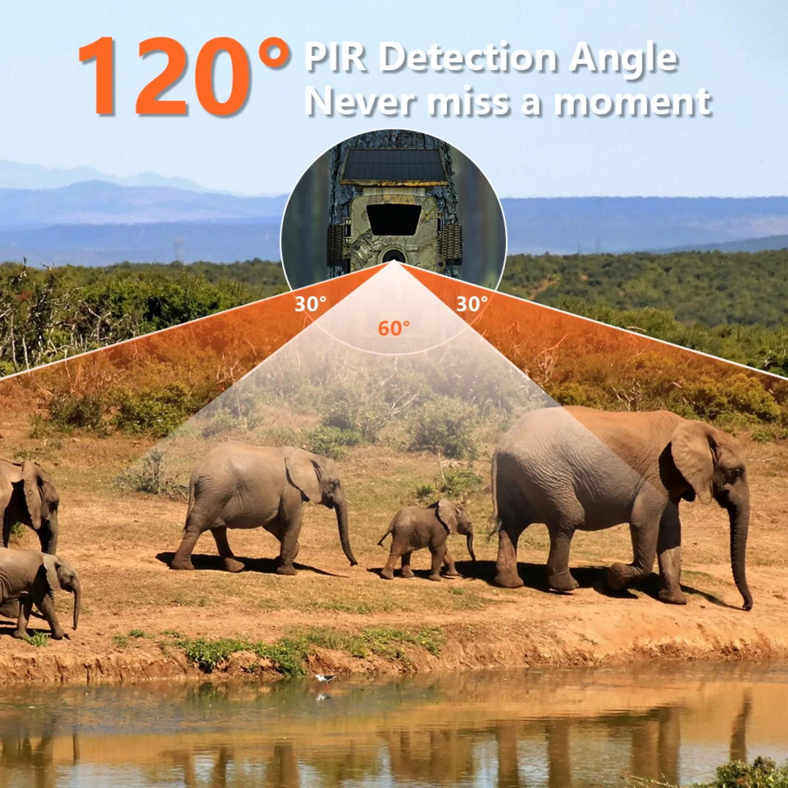Caméra de chasse solaire 4K 60MP WiFi 2026 - Détection extérieure étanche IP66 vision nocturne grand angle
